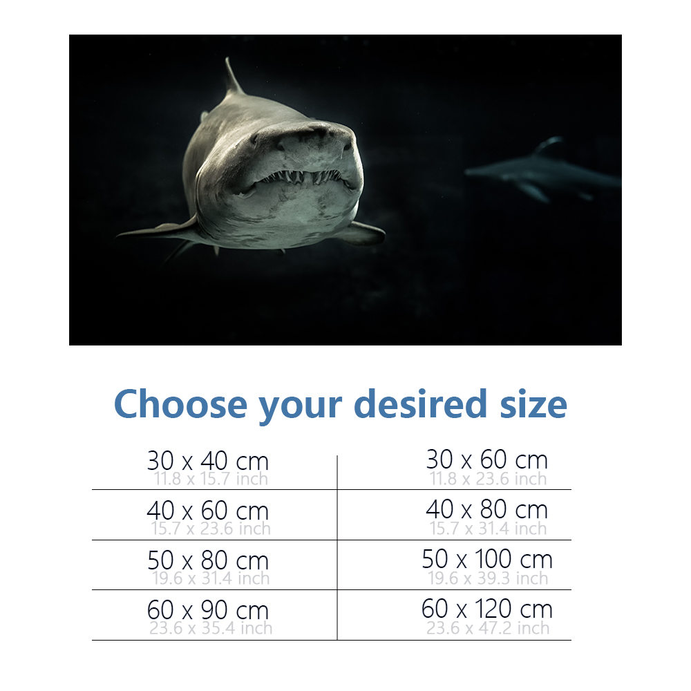 พิพิธภัณฑ์สัตว์น้ําพื้นหลัง 3D - Aquarium Fish Wallpaper Hd บทวิจารณ์และราคา
